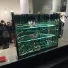 images/phocagallery/galleriaeventi/Fuorisalone_Milano_mobile_Ice.jpg